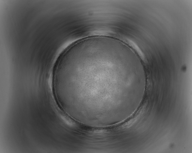 X0000103141035200808291334