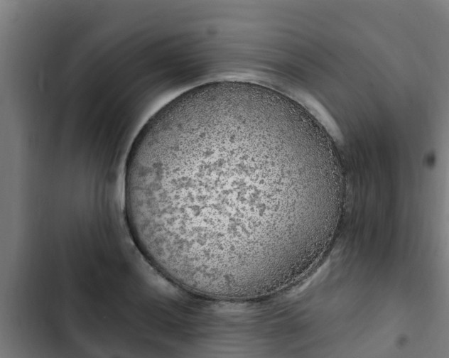 X0000103141036200808291334