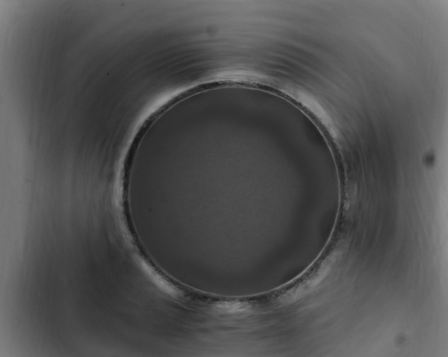 X0000103141037200808291334