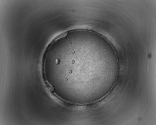 X0000103141038200808291334