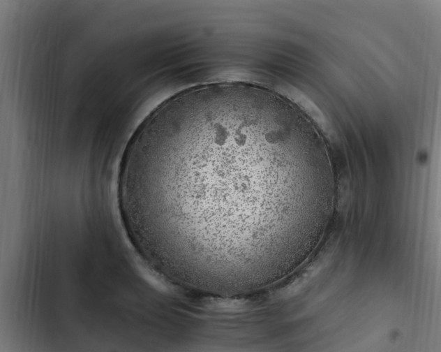 X0000103141039200808291334