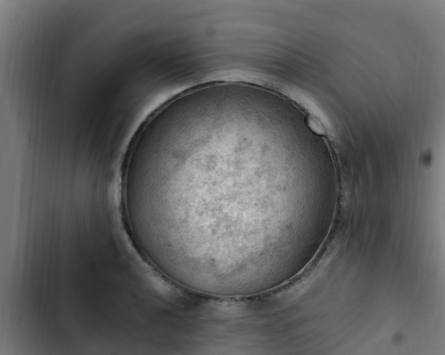 X0000103141040200808291334