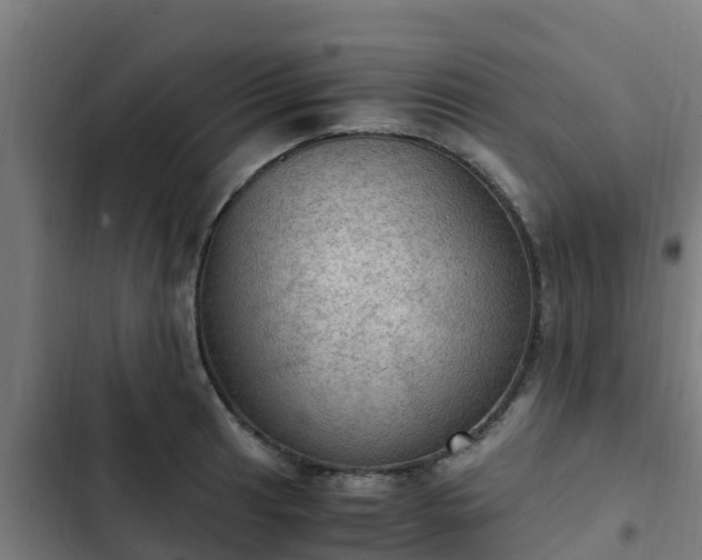 X0000103141041200808291334