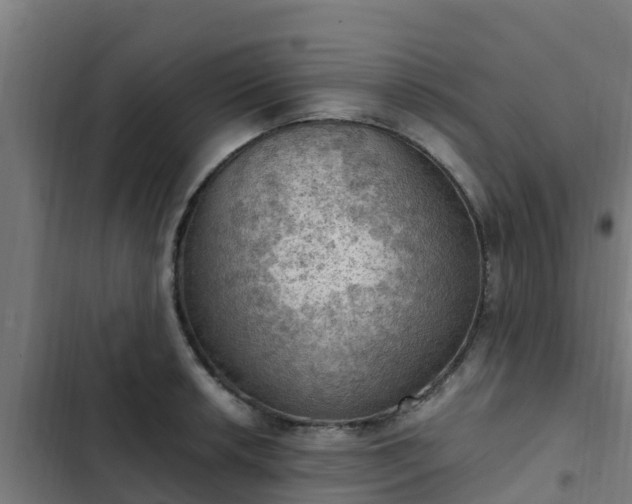 X0000103141042200808291334