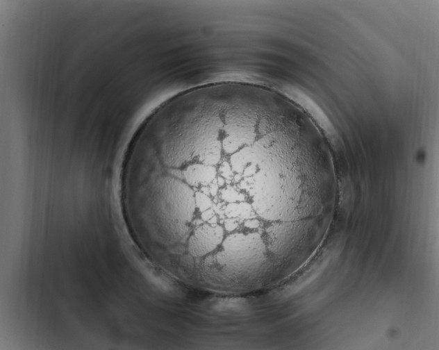 X0000103141043200808291334