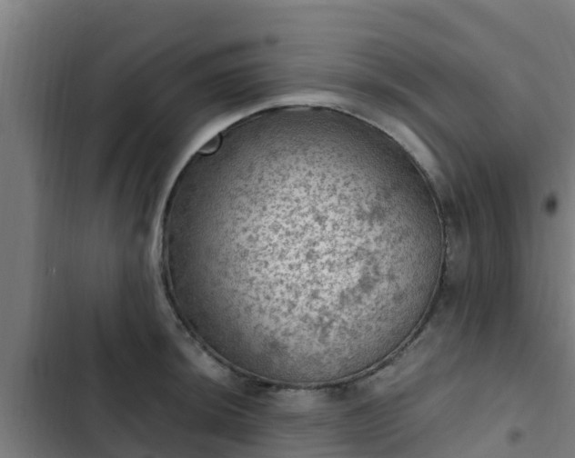 X0000103141044200808291334