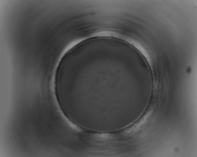 X0000103141045200808291334