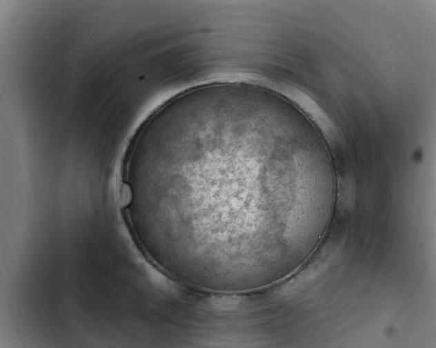 X0000103141046200808291334