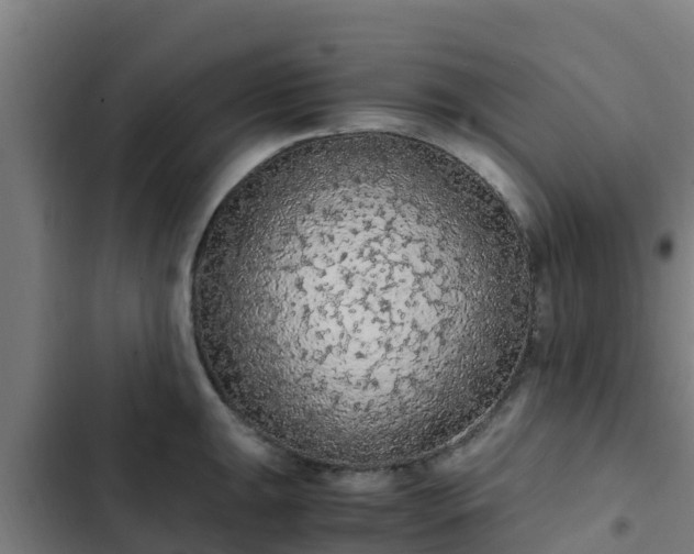 X0000103141047200808291334