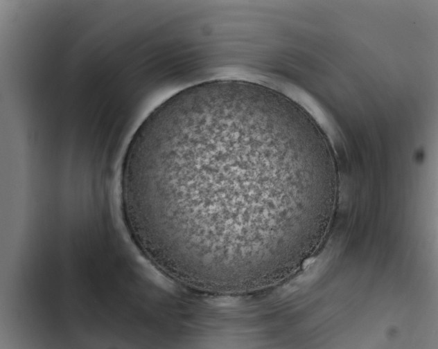 X0000103141048200808291334