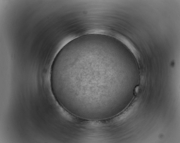 X0000103141050200808291334