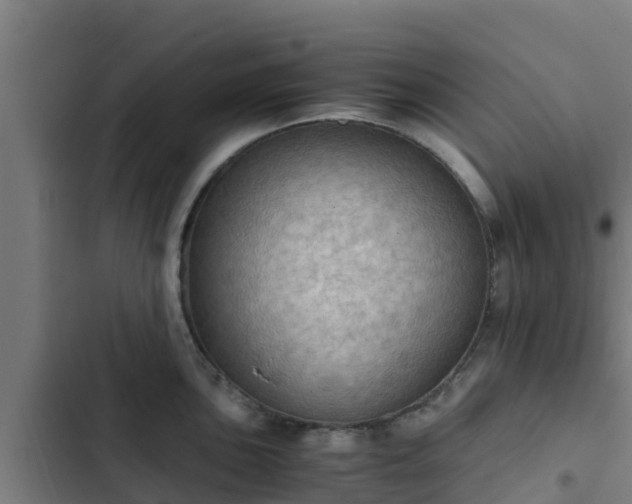 X0000103141051200808291334