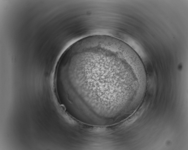 X0000103141052200808291334