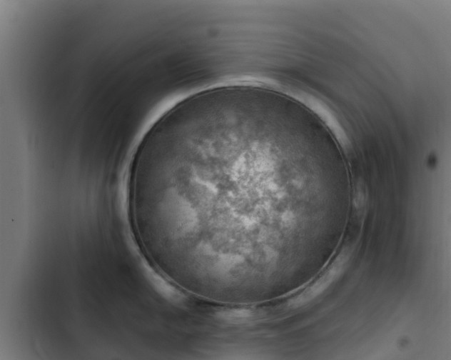 X0000103141054200808291334