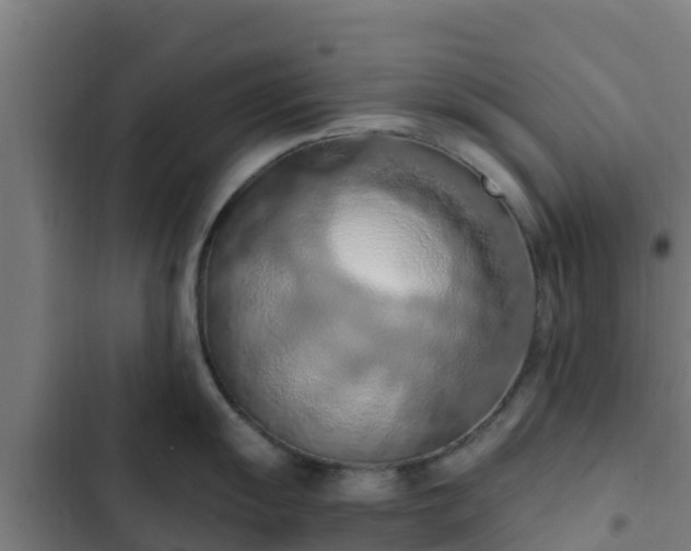 X0000103141055200808291334