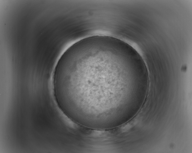 X0000103141056200808291334