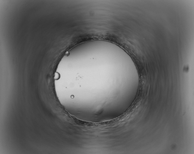 X0000103141057200808291333