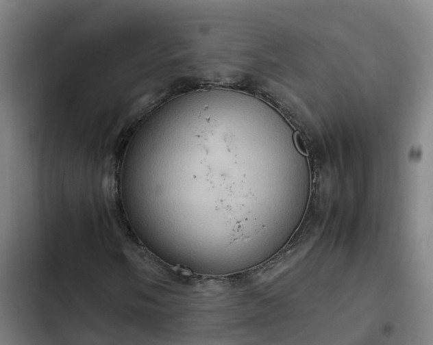 X0000103141058200808291333