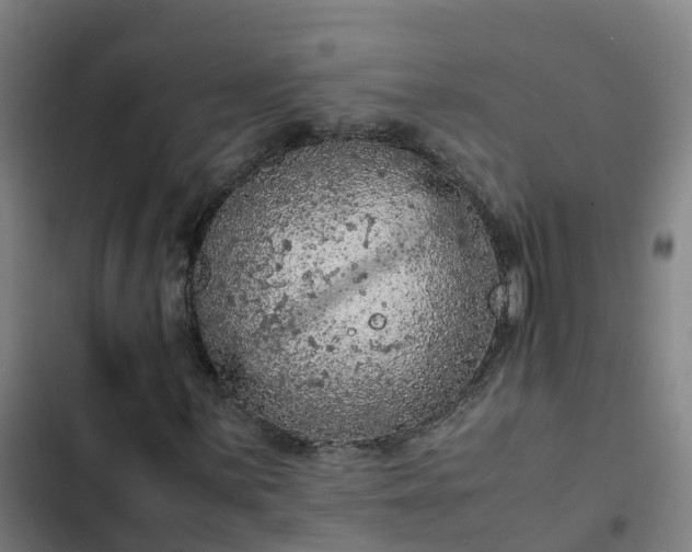 X0000103141059200808291333