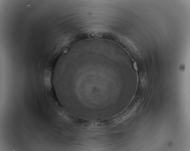 X0000103141060200808291333