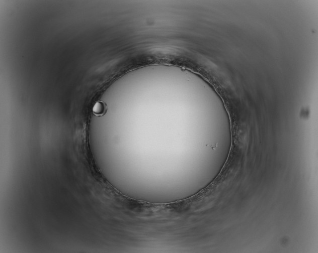 X0000103141061200808291333