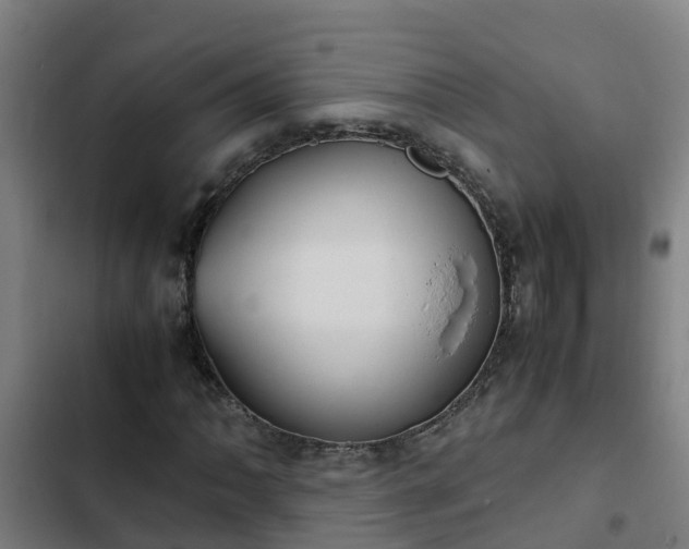 X0000103141062200808291333