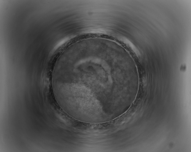 X0000103141064200808291333