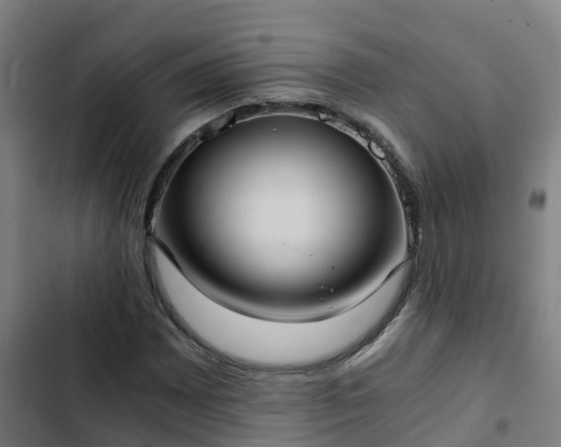 X0000103141065200808291333