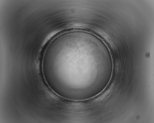 X0000103141066200808291333