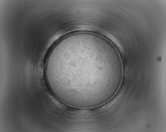 X0000103141067200808291333