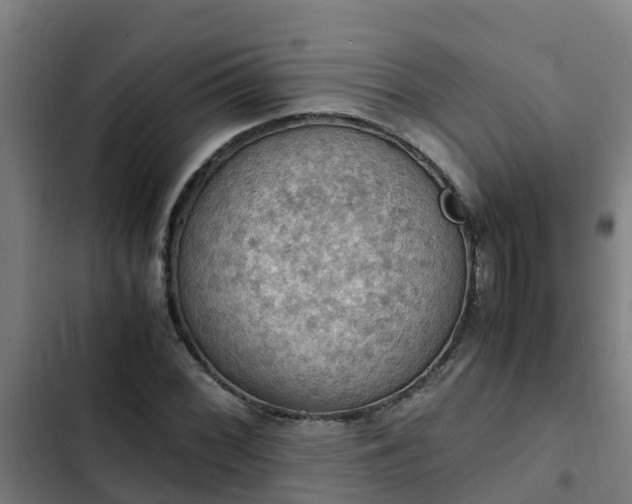 X0000103141068200808291333