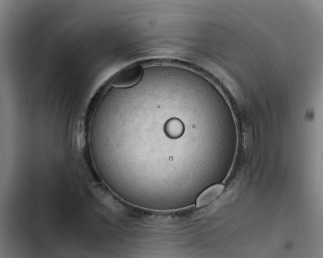 X0000103141069200808291333