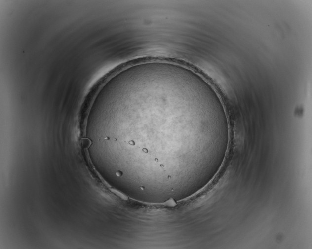 X0000103141070200808291333