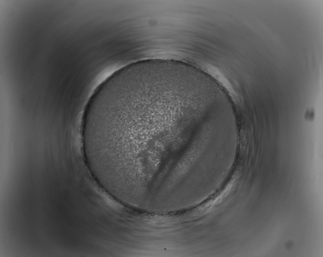 X0000103141071200808291333