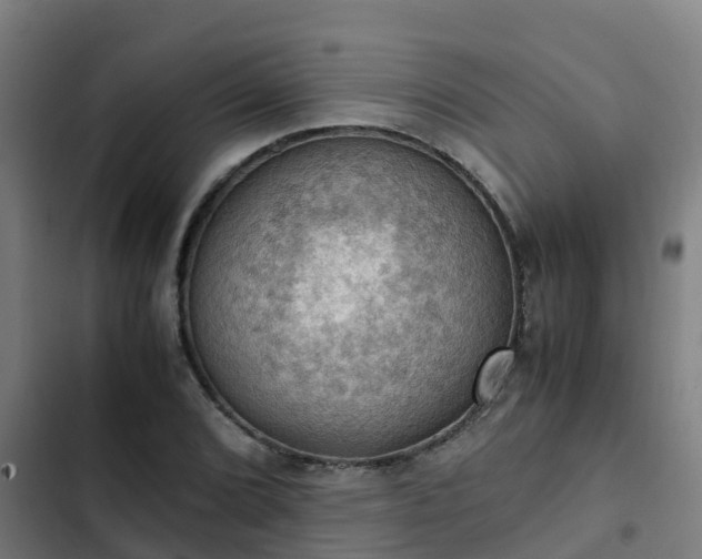 X0000103141072200808291333