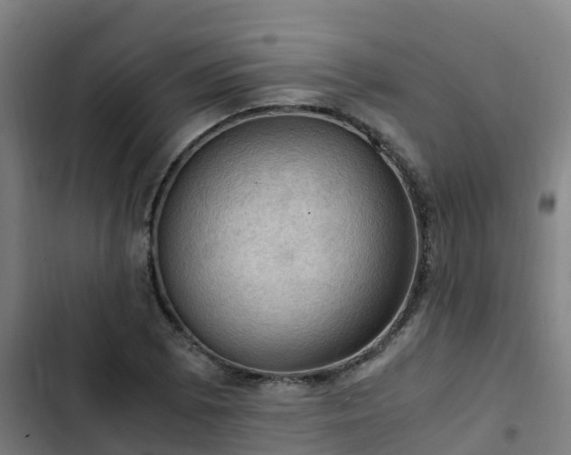 X0000103141073200808291333