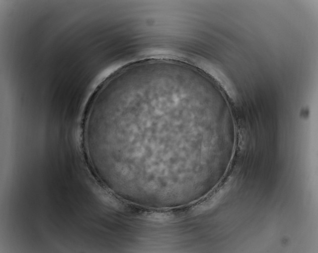 X0000103141074200808291333