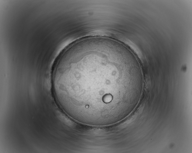 X0000103141075200808291333