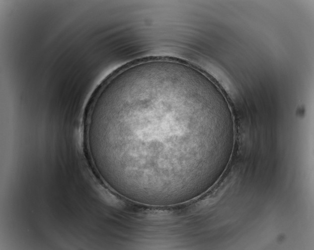 X0000103141076200808291333