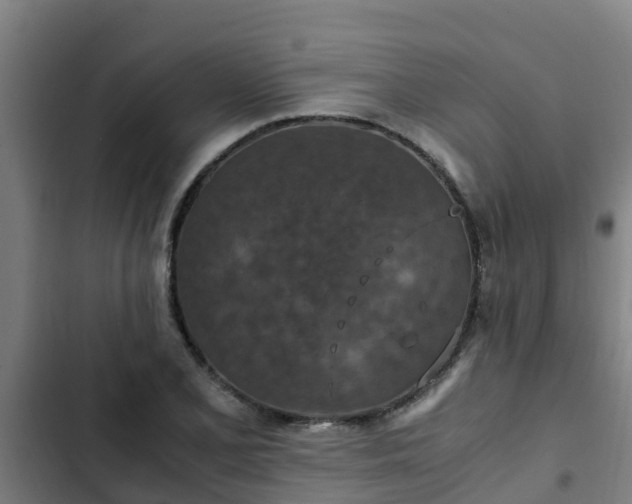 X0000103141077200808291333