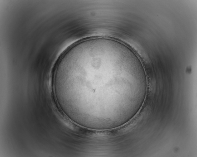 X0000103141078200808291333