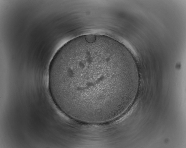 X0000103141079200808291333