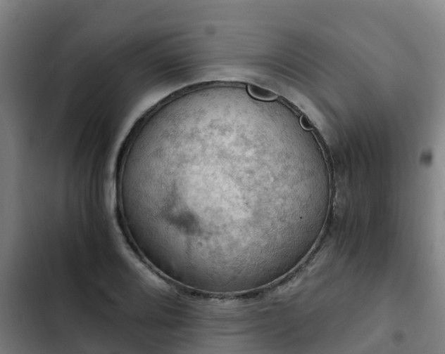 X0000103141080200808291333