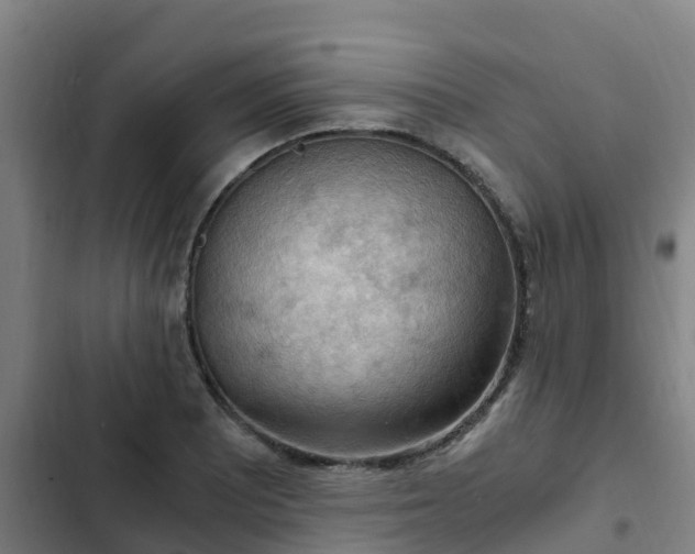 X0000103141081200808291333