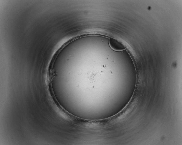 X0000103141082200808291333