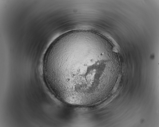 X0000103141083200808291333