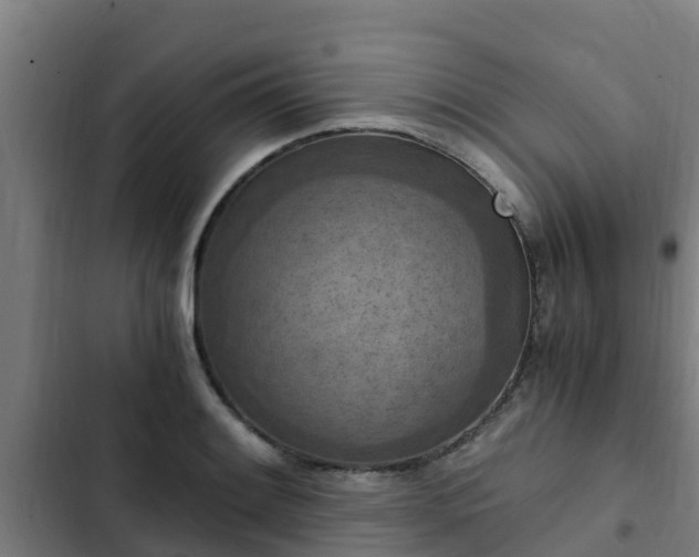 X0000103141084200808291333