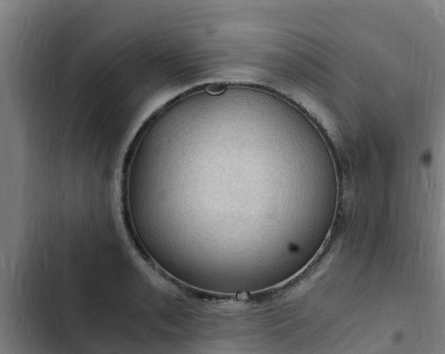 X0000103141085200808291333