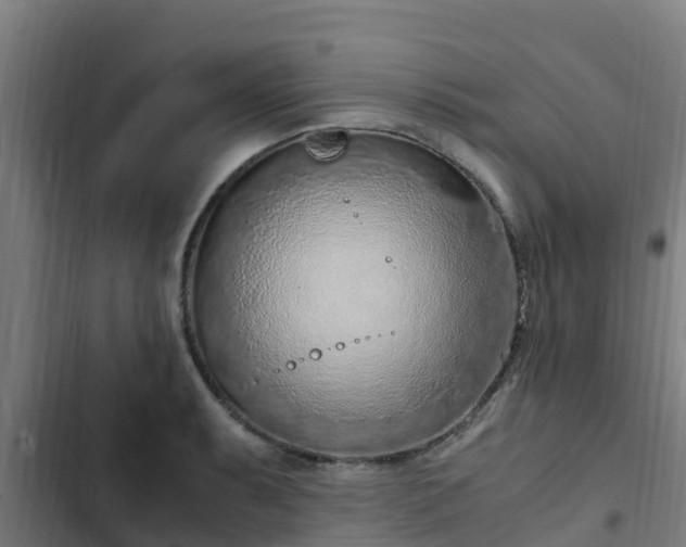 X0000103141087200808291333