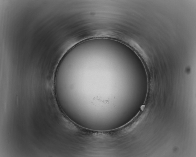 X0000103141089200808291333